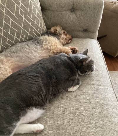 TomTom and Brother Vegas